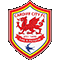 Ficha técnica Cardiff City 2013/14