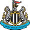 Ficha técnica Newcastle United 2011/12