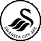 Ficha técnica Swansea City 2012/13