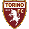 Ficha técnica Torino 2016/17