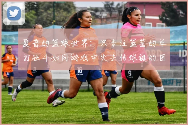 夏普的篮球世界：只专注篮筐的单打独斗如同游戏中失去传球键的困境